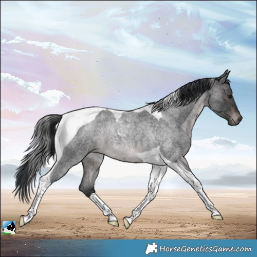 Horse Color:Platinum Brown Roan Mushroom Tobiano Rabicano 