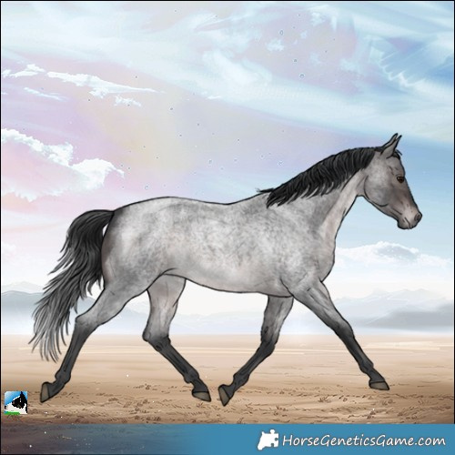 Horse Color:Platinum Brown Roan 