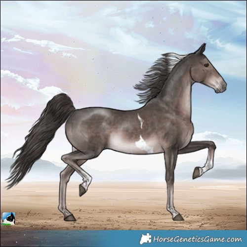 Horse Color:Platinum Liver Chestnut Tobiano Rabicano 