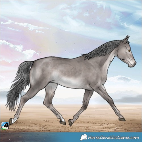 Horse Color:Platinum Liver Red Dun Mushroom Rabicano 