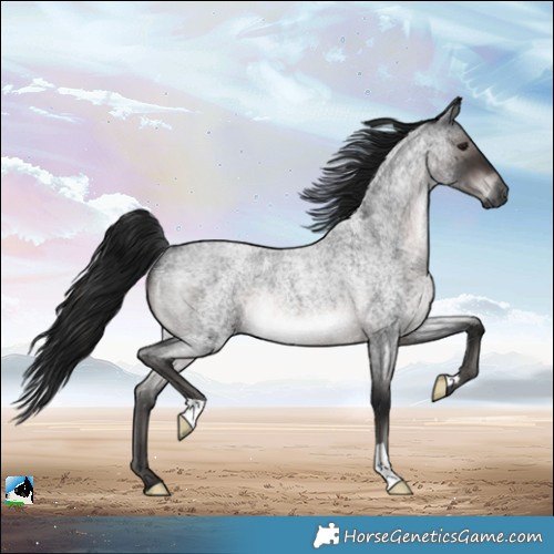 Horse Color:Gray Platinum Brown Roan Mushroom Rabicano