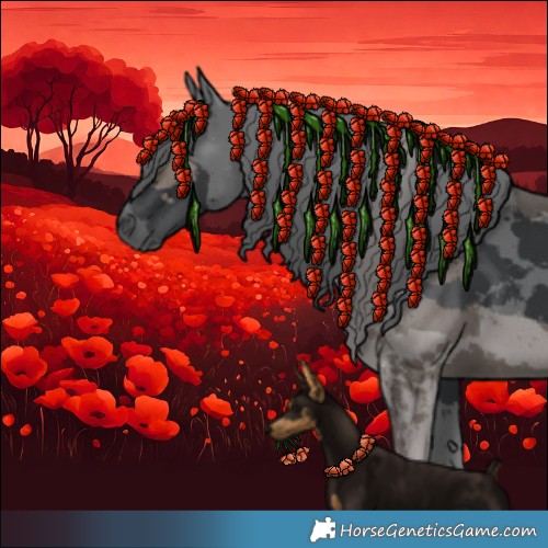 Horse Color:Black Merle Rabicano