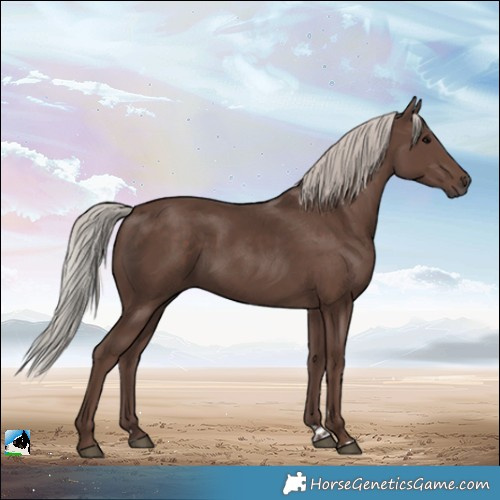 Horse Color:Silver Black Rabicano