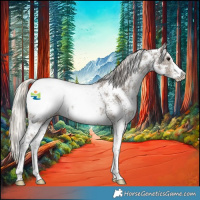 Horse Color:Silver Smoky Black Sabino Appaloosa Rabicano