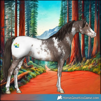 Horse Color:Liver Chestnut Sabino Appaloosa Rabicano