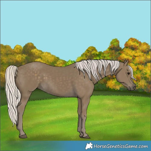 Horse Color:Silver Smoky Black 