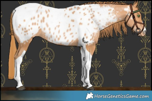 Horse Color:Bay Pearl Tobiano Near Leopard Rabicano 