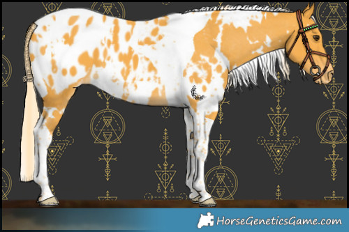 Horse Color:White Spotted Palomino Tobiano Blanket 
