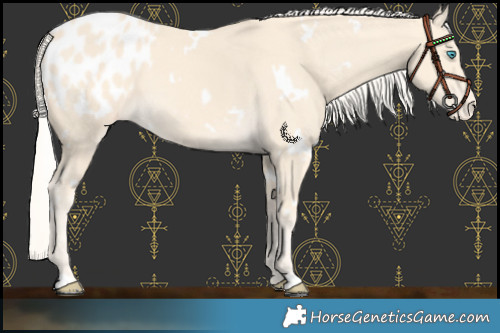 Horse Color:White Spotted Cremello Blanket 