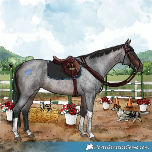 Horse Color:Brown Roan Tobiano 