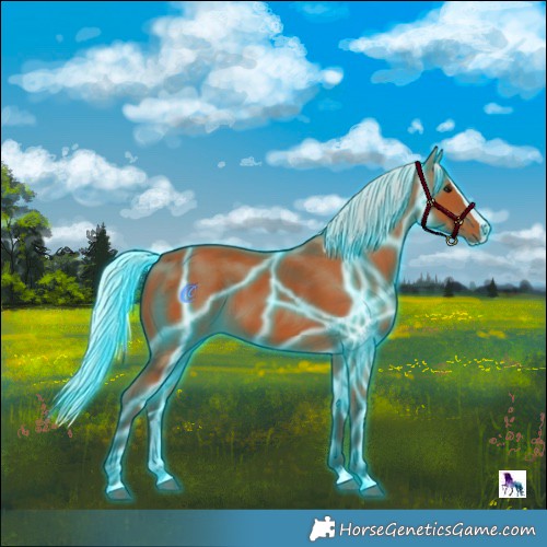 Horse Color:Thunderstruck Silver Bay Splash 