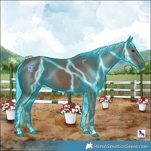 Horse Color:Thunderstruck Silver Black Tobiano