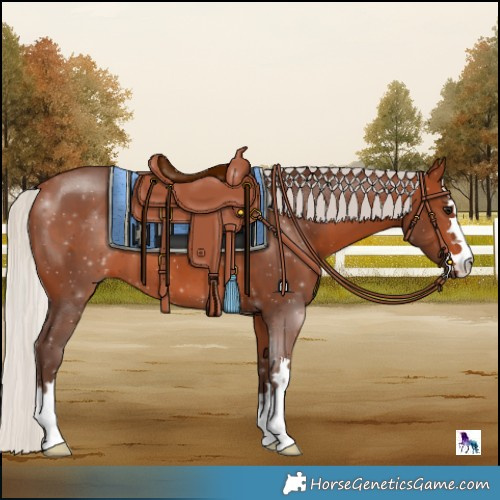 Horse Color:Silver Brown 