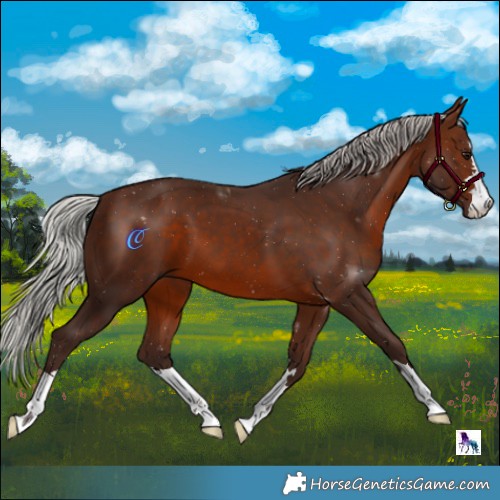 Horse Color:Silver Brown 