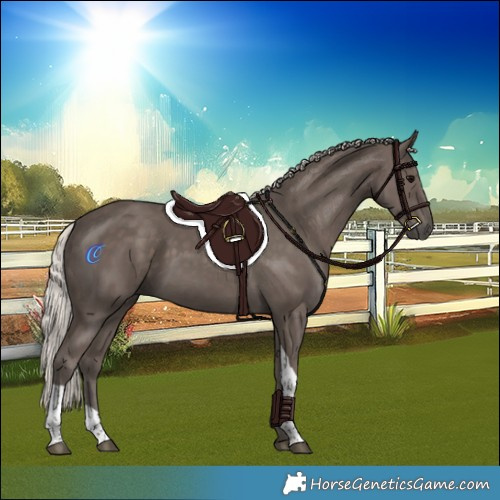Horse Color:Silver Black Tobiano 
