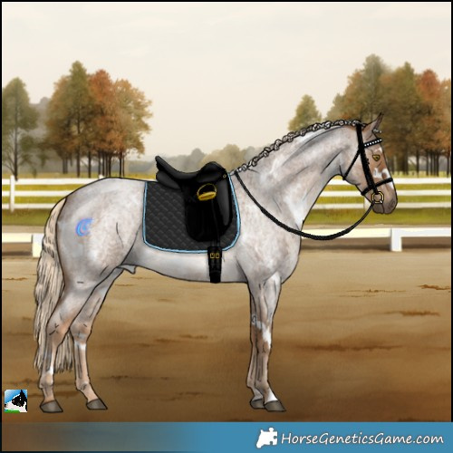Horse Color:White Spotted Chocolate Palomino Roan Rabicano