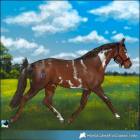 Horse Color:Powder White White Spotted Liver Chestnut 