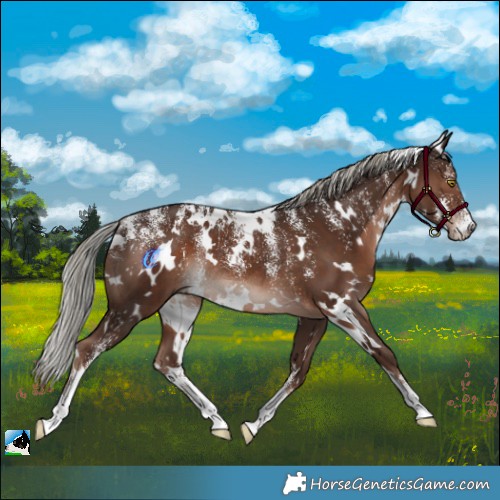 Horse Color:Powder White White Spotted Liver Chestnut Mushroom Rabicano