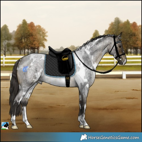 Horse Color:White Spotted Buckskin Roan Rabicano 