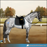 Horse Color:White Spotted Buckskin Roan Rabicano 