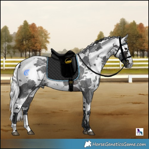 Horse Color:Brown Roan Harlequin Merle 