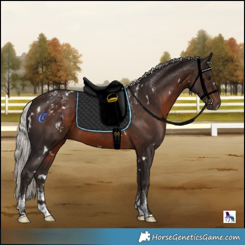 Horse Color:Powder White White Spotted Silver Brown
