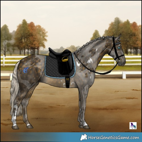 Horse Color:White Spotted Silver Buckskin Merle Tobiano