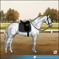 Horse Color:Gray Silver Brown Harlequin Merle Tobiano