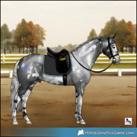 Horse Color:Powder White Gray White Spotted Silver Brown Splash