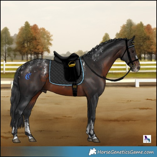 Horse Color:Powder White Brown 