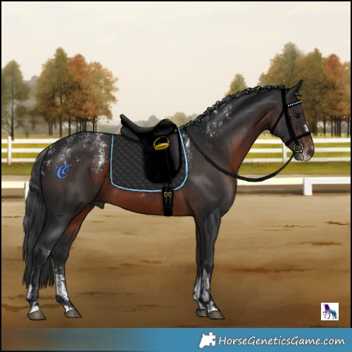 Horse Color:Powder White Brown