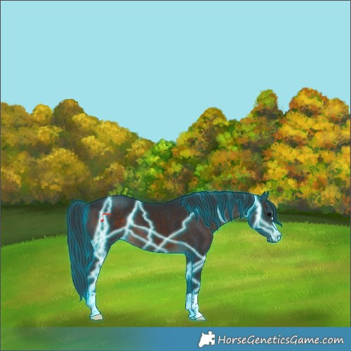 Horse Color:Thunderstruck Brown Varnish 