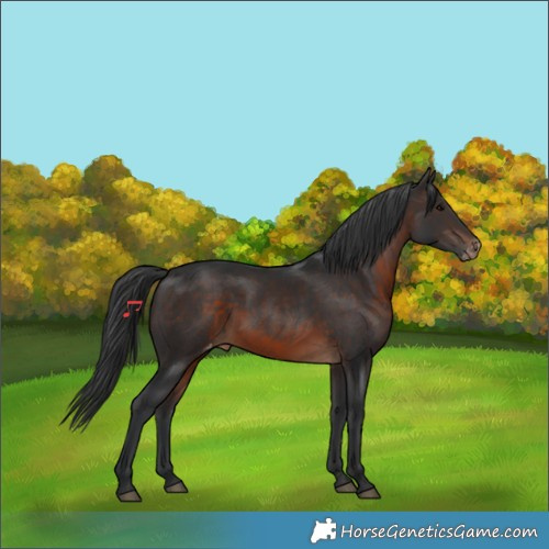 Horse Color:Brown Varnish