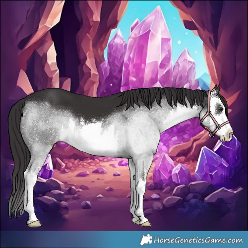Horse Color:White Spotted Smoky Black 
