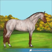Horse Color:Red Roan