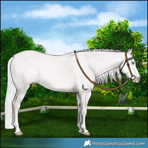 Horse Color:Platinum Silver Perlino Dun 