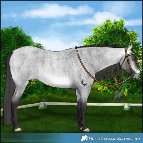Horse Color:Platinum Buckskin Chinchilla Roan 