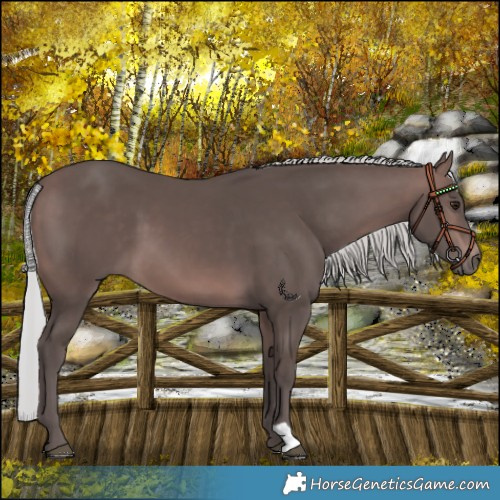 Horse Color:Platinum Silver Brown 