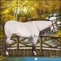 Horse Color:Platinum Chocolate Buckskin Dun