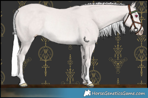 Horse Color:Platinum Silver Perlino Rabicano 