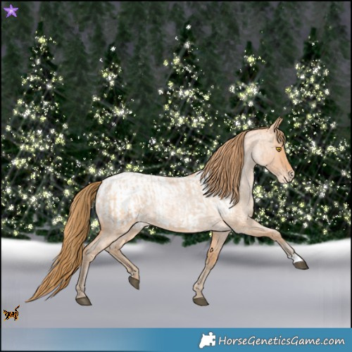 Horse Color:Bay Roan Pearl  and Bay Roan Pearl Blanket 