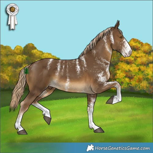 Horse Color:Powder White White Spotted Chocolate Palomino 