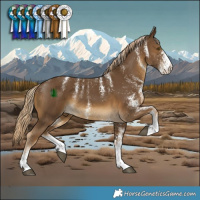 Horse Color:Powder White White Spotted Chocolate Palomino