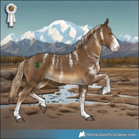 Horse Color:Powder White White Spotted Chocolate Palomino 