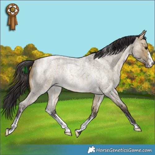 Horse Color:Powder White Buckskin Roan Dun Rabicano