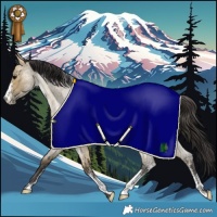 Horse Color:Powder White Buckskin Roan Dun Rabicano 