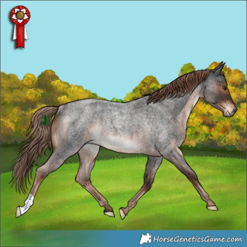 Horse Color:Liver Red Roan Rabicano