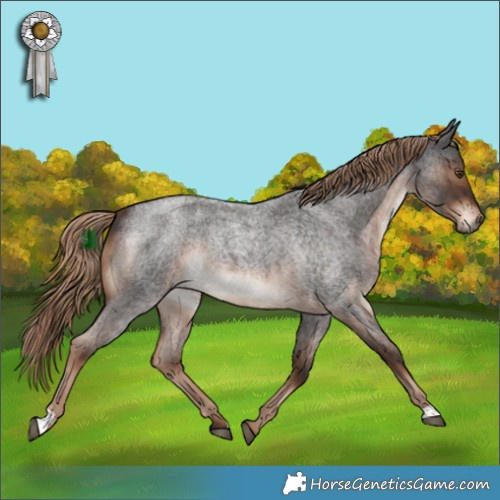 Horse Color:Liver Red Roan Rabicano 