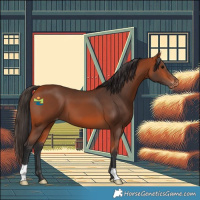 Horse Color:Bay Varnish