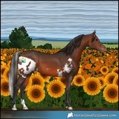 Horse Color:Brown Skewed LP Spotted 